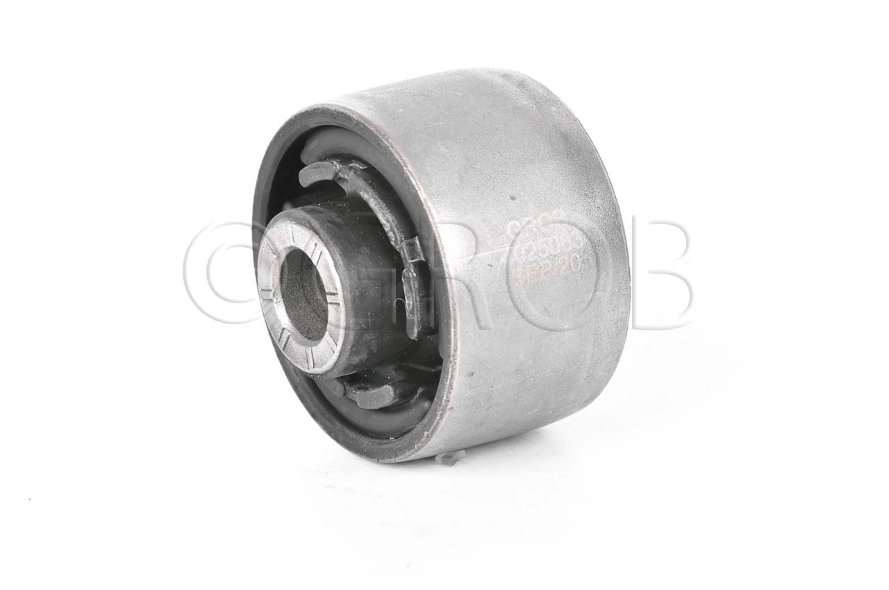 Buje Inf. Del. Fusion 13-20