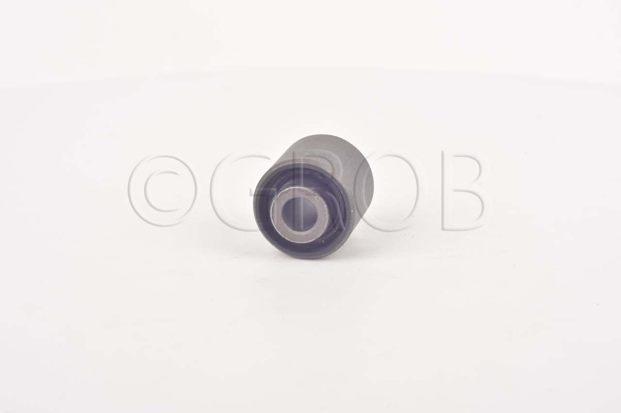 Buje Tras. Focus 99-11