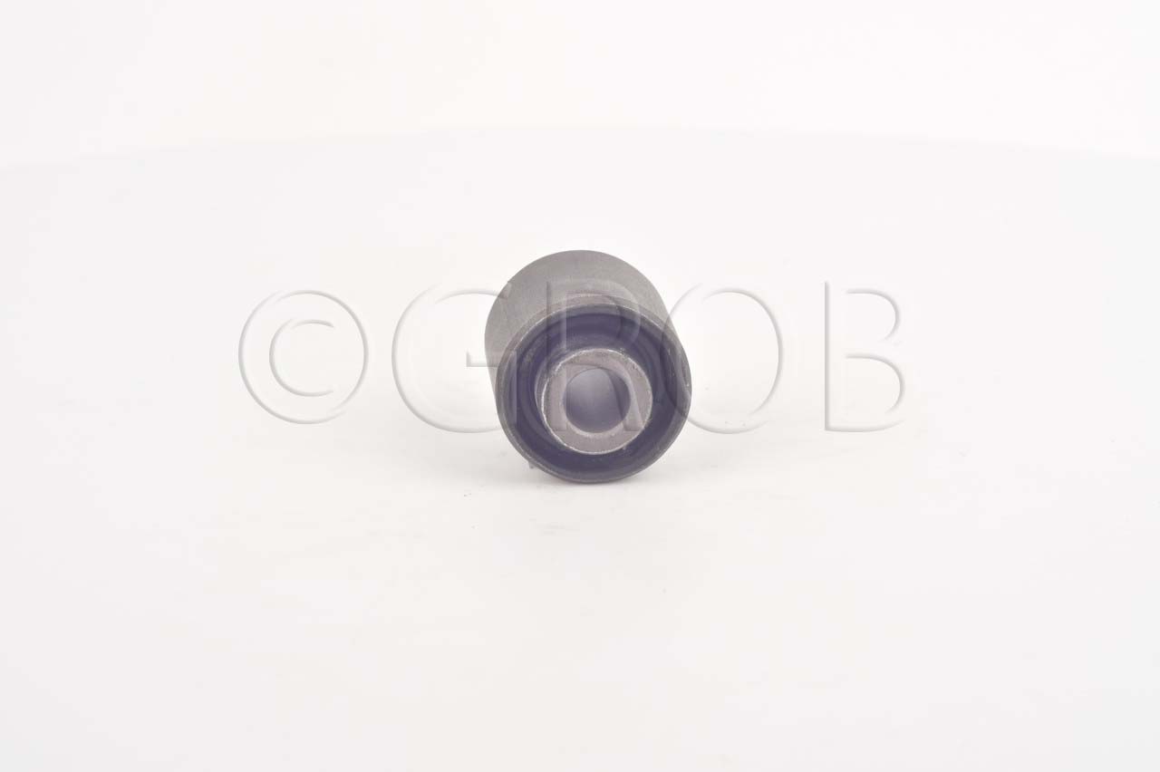 Buje Tras. Focus 99-11