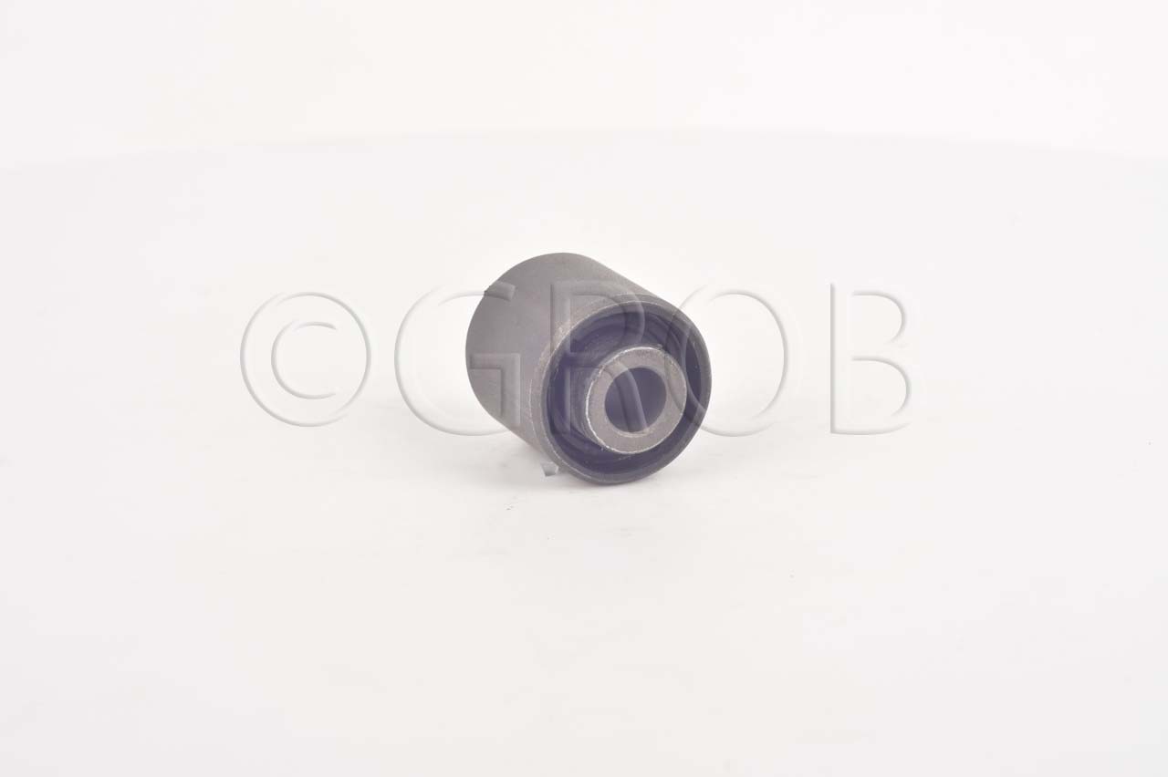 Buje Tras. Focus 99-11