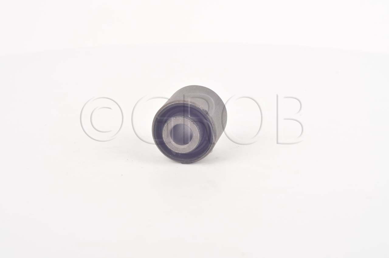 Buje Tras. Focus 99-11