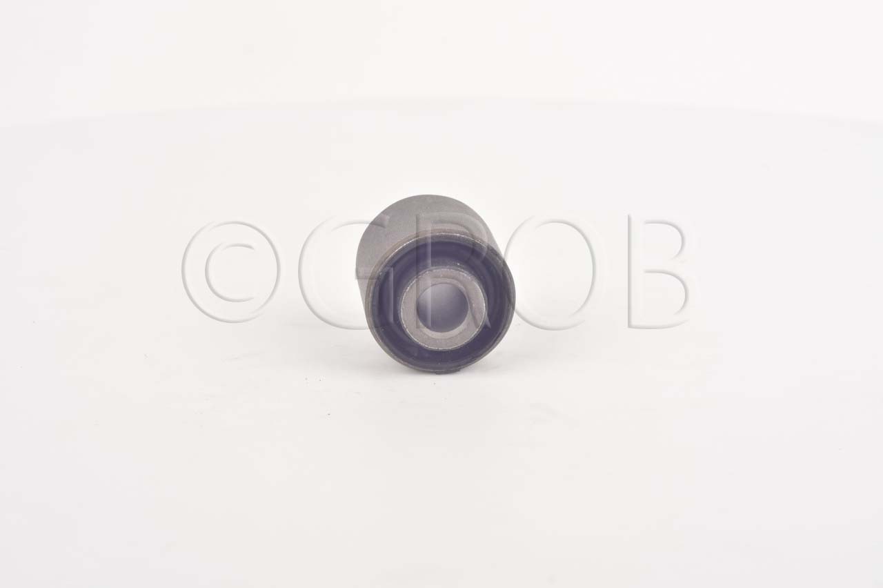 Buje Tras. Focus 99-11