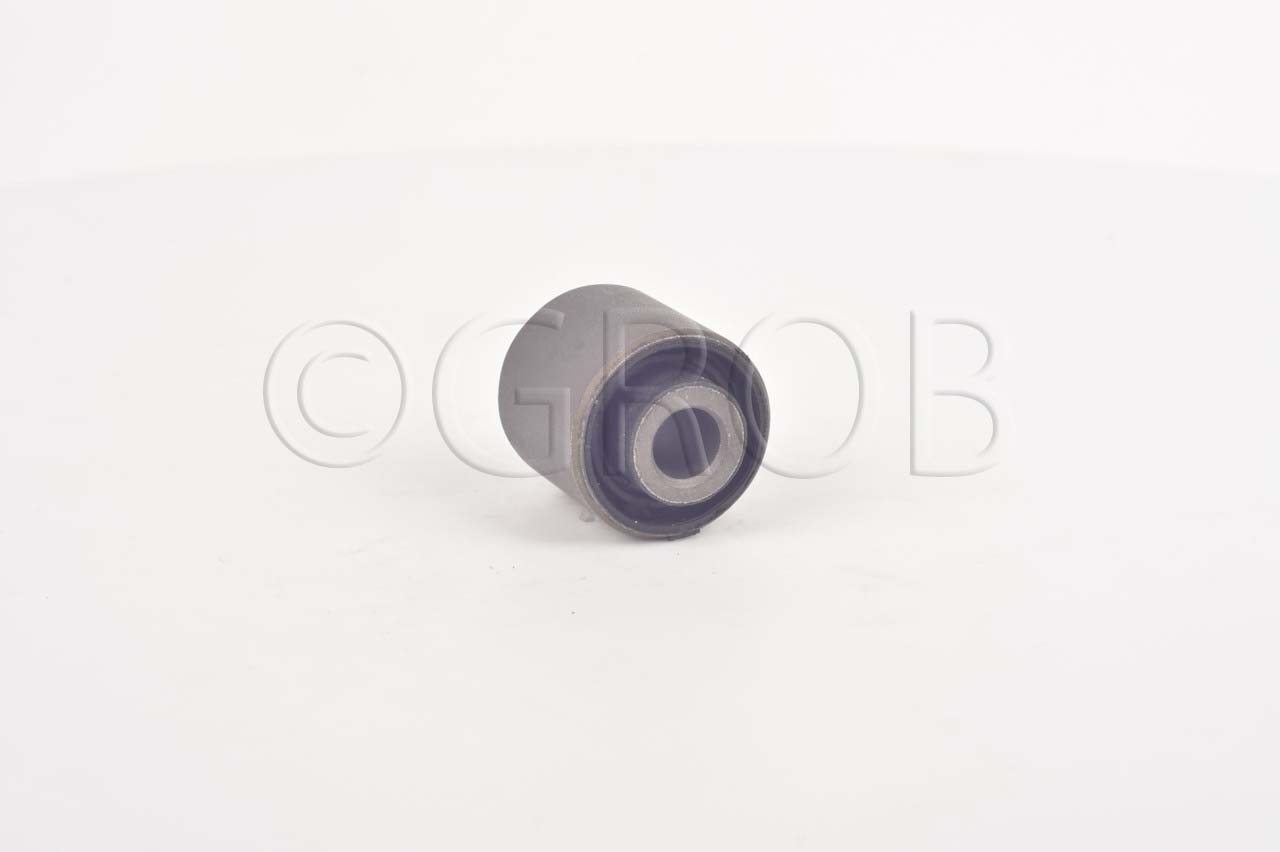 Buje Tras. Focus 99-11