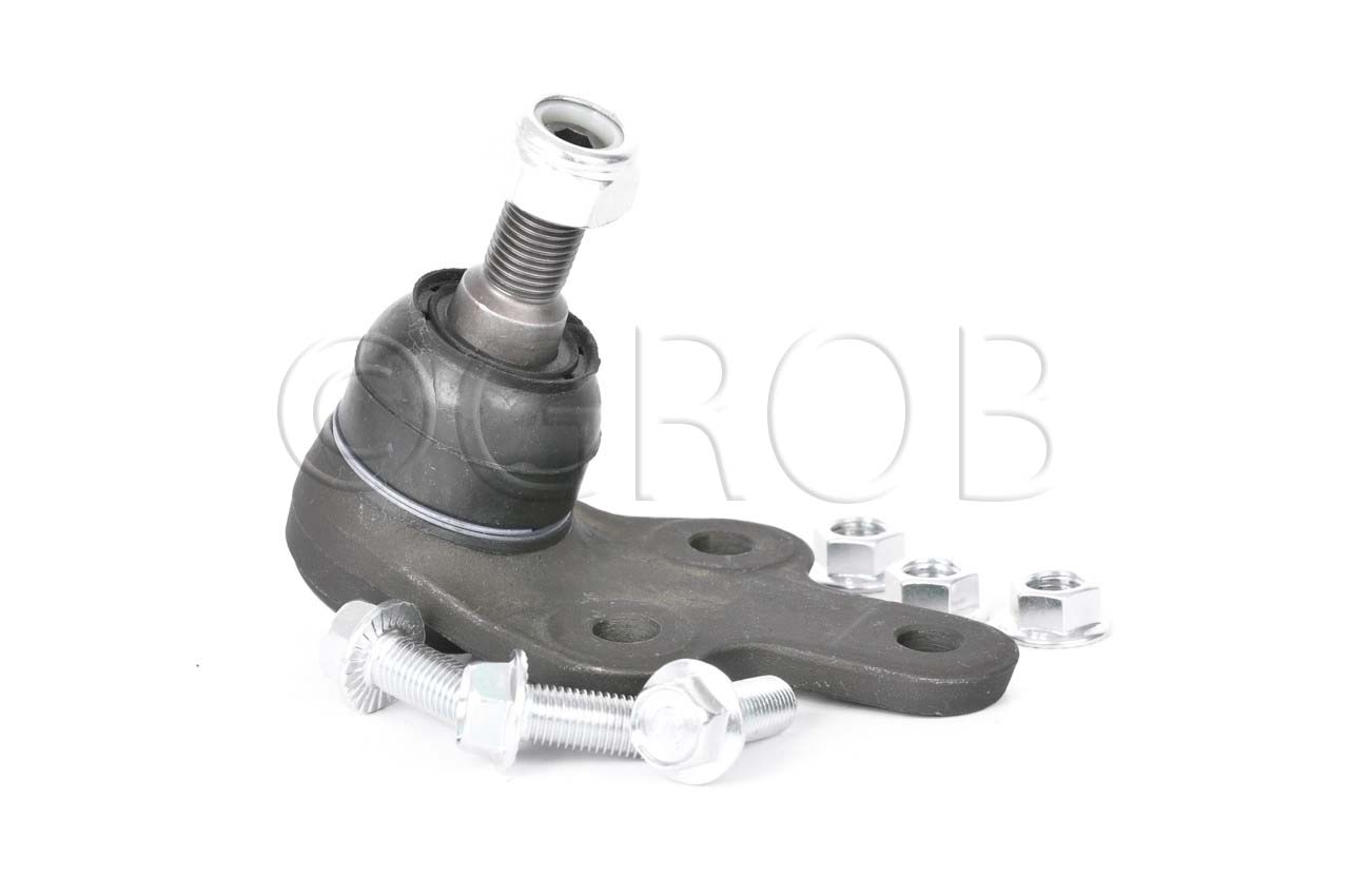 Rotula Inf. Focus 07-11 Focus Europa 07-11 S40 04-10