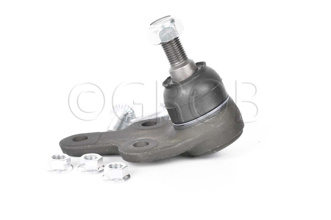 Rotula Inf. Focus 07-11 Focus Europa 07-11 S40 04-10