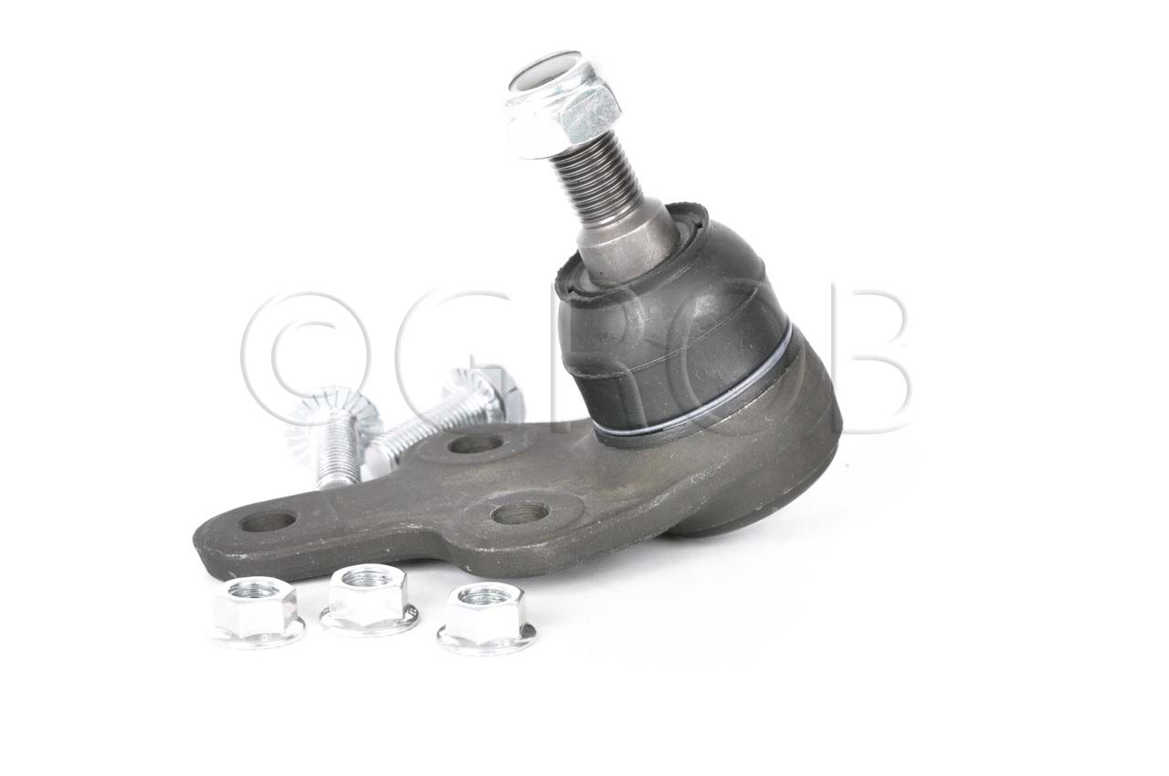 Rotula Inf. Focus 07-11 Focus Europa 07-11 S40 04-10