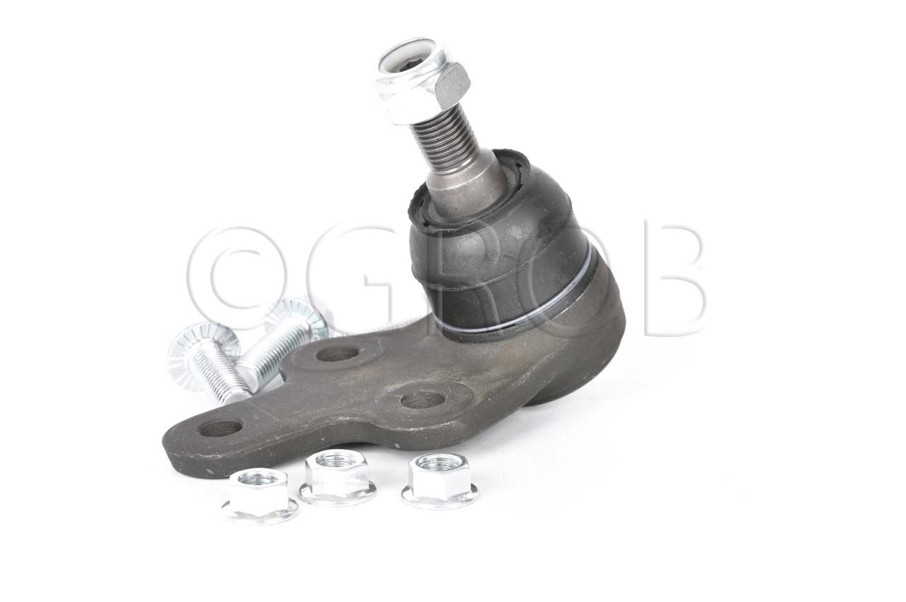 Rotula Inf. Focus 07-11 Focus Europa 07-11 S40 04-10