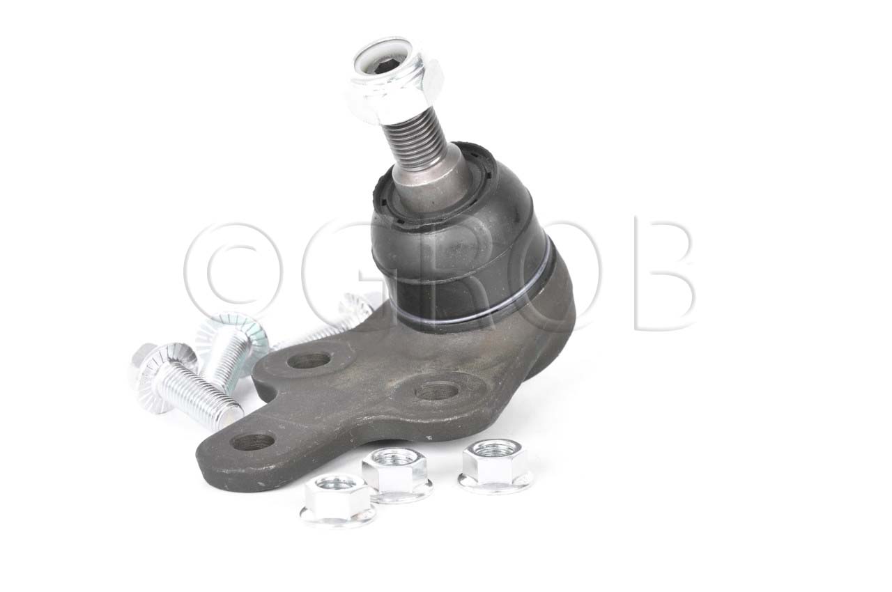 Rotula Inf. Focus 07-11 Focus Europa 07-11 S40 04-10