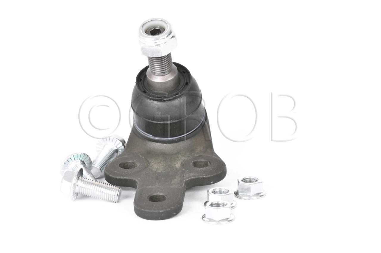 Rotula Inf. Focus 07-11 Focus Europa 07-11 S40 04-10
