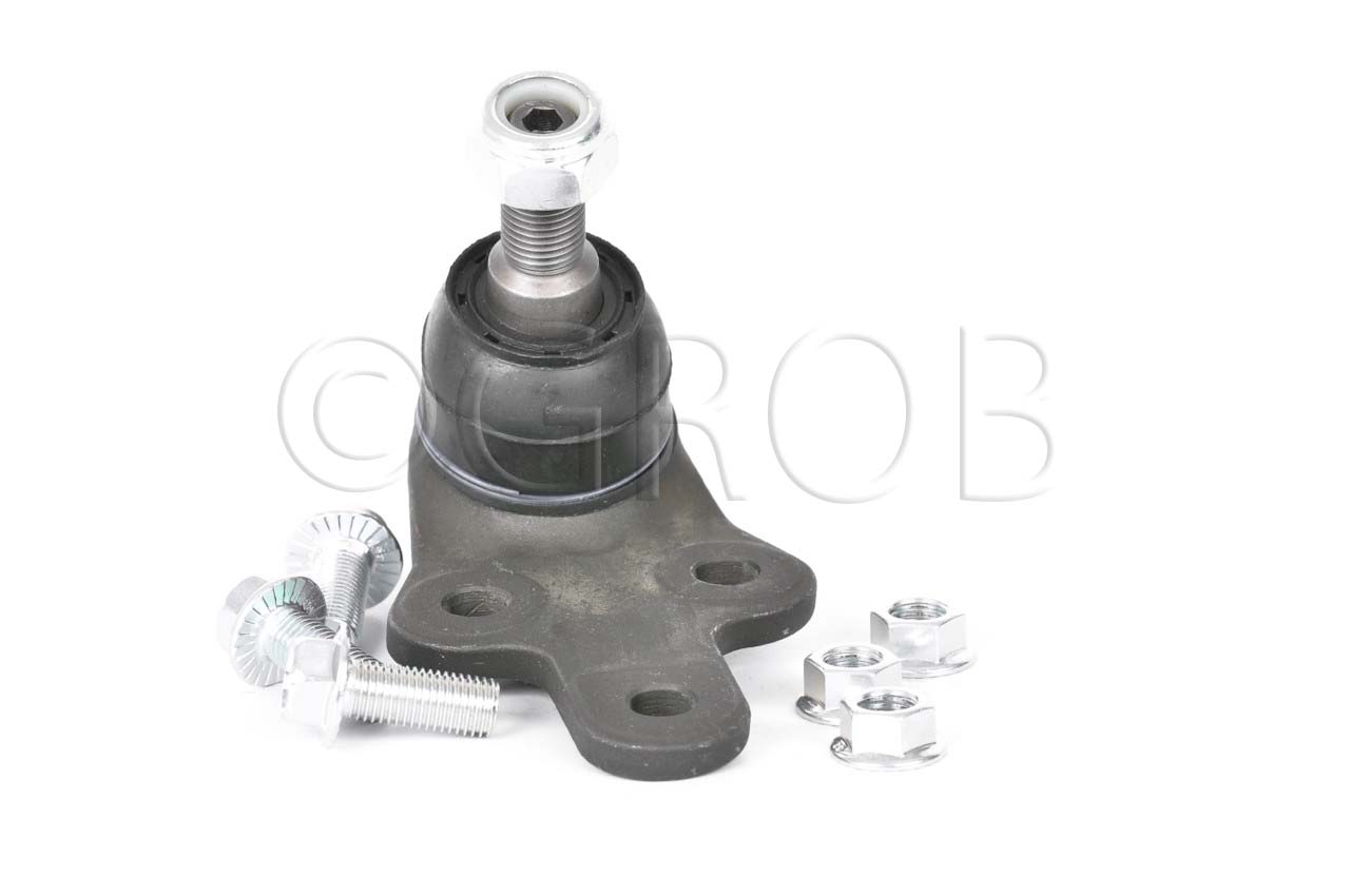 Rotula Inf. Focus 07-11 Focus Europa 07-11 S40 04-10