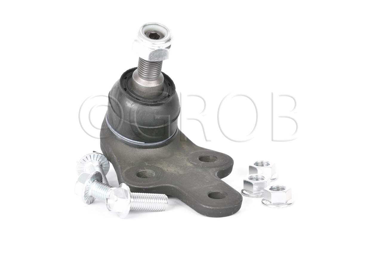 Rotula Inf. Focus 07-11 Focus Europa 07-11 S40 04-10