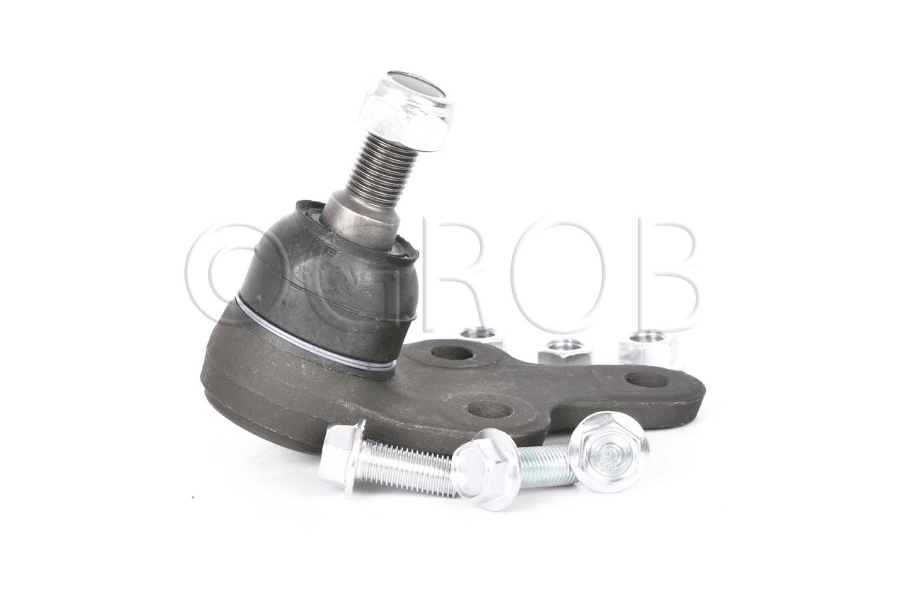 Rotula Inf. Focus 07-11 Focus Europa 07-11 S40 04-10