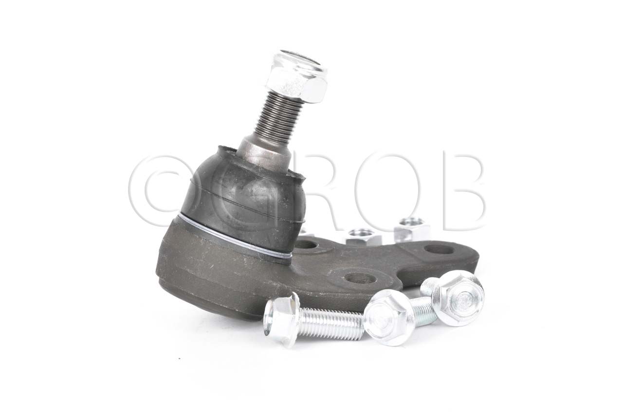 Rotula Inf. Focus 07-11 Focus Europa 07-11 S40 04-10