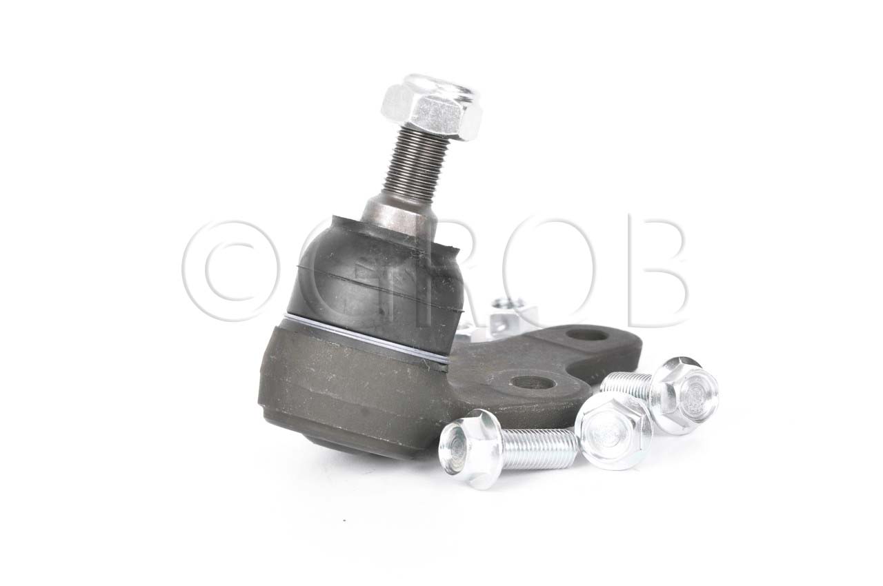 Rotula Inf. Focus 07-11 Focus Europa 07-11 S40 04-10