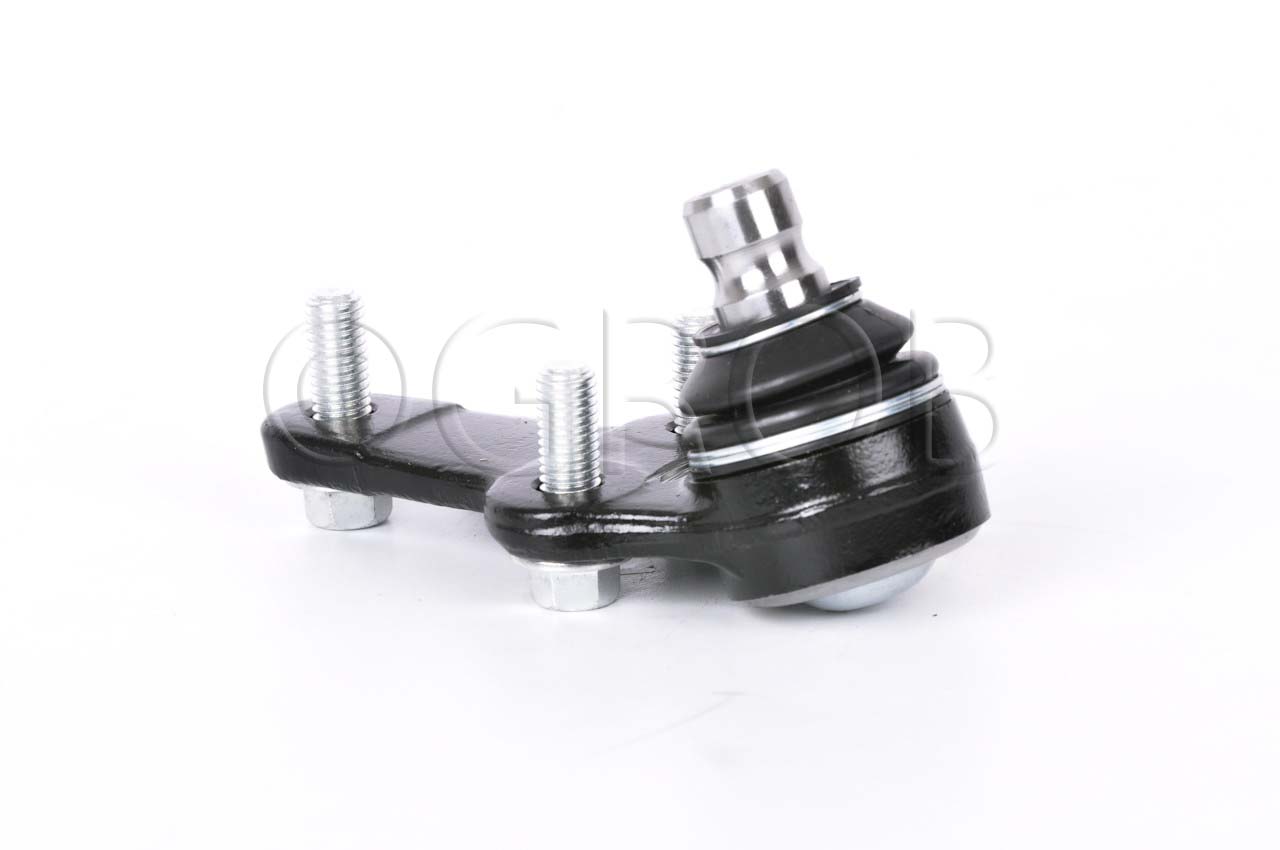 Rotula Inf. Focus 03-11