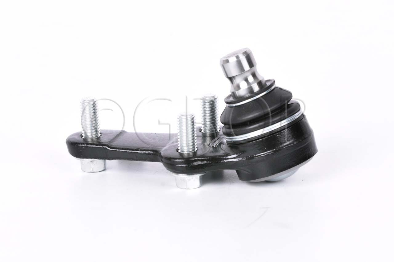 Rotula Inf. Focus 03-11