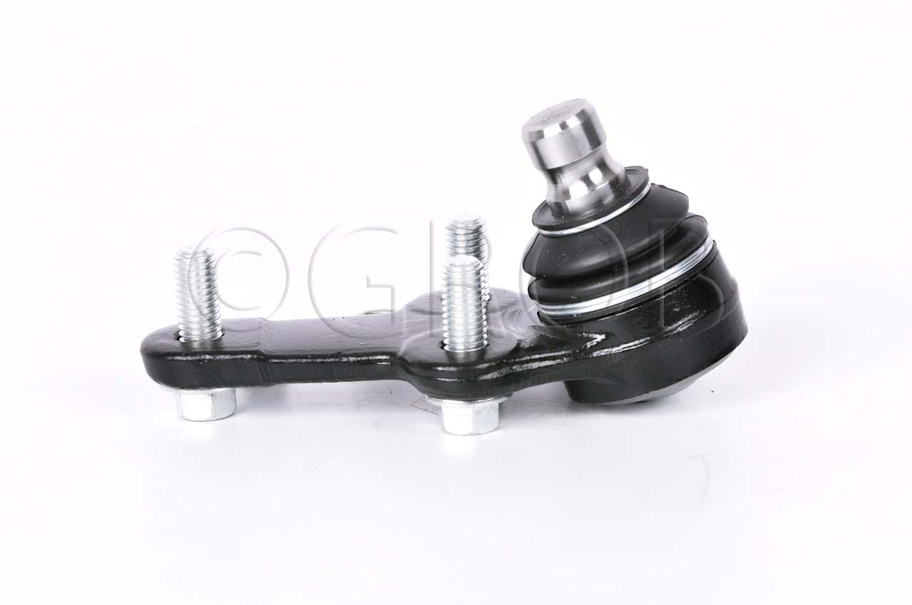 Rotula Inf. Focus 03-11