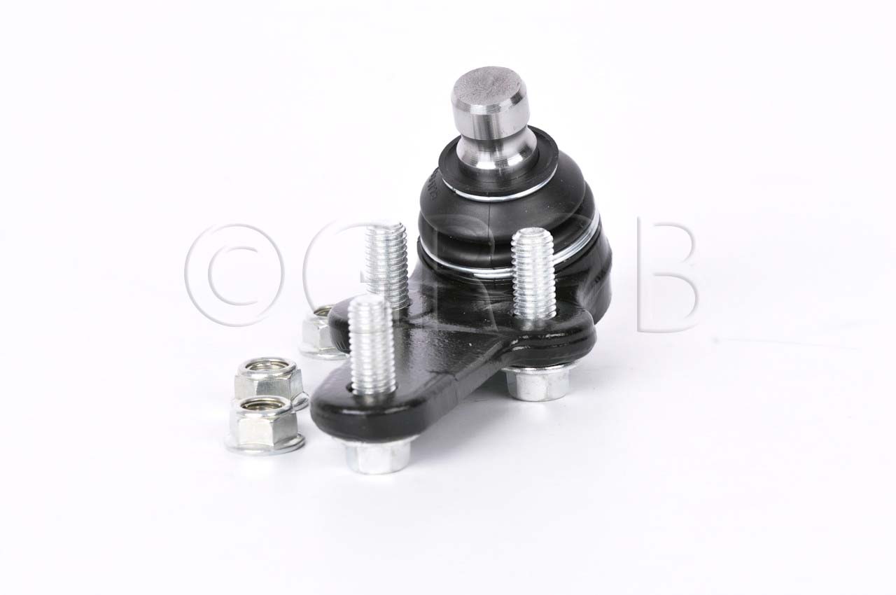 Rotula Inf. Focus 03-11