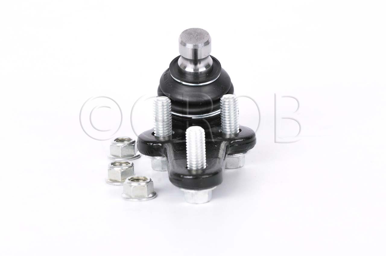 Rotula Inf. Focus 03-11