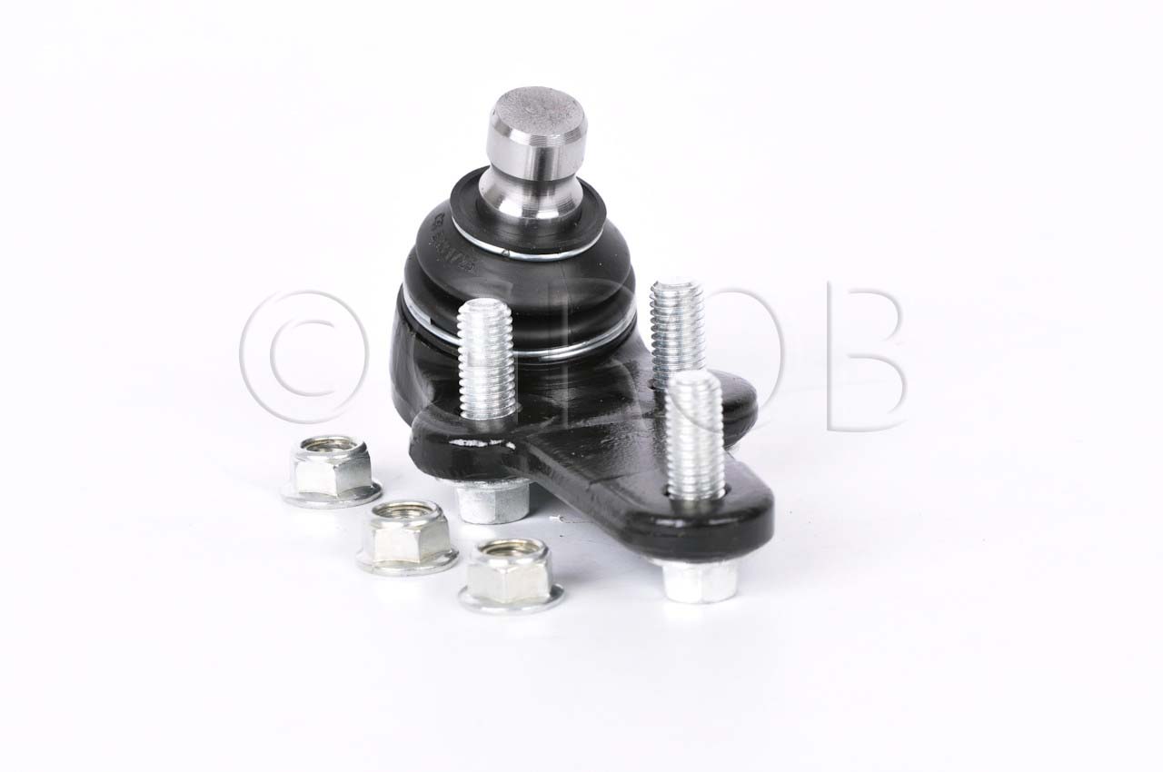 Rotula Inf. Focus 03-11