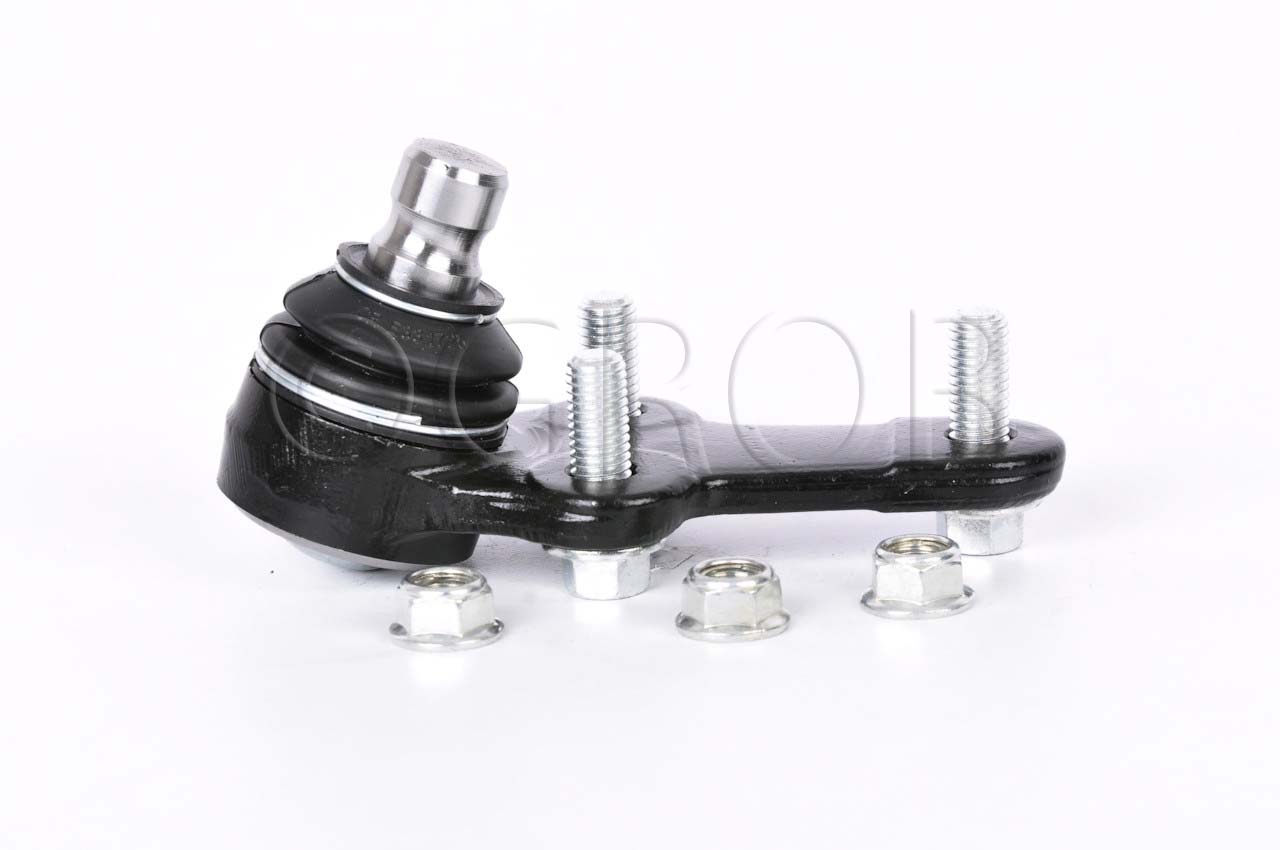 Rotula Inf. Focus 03-11