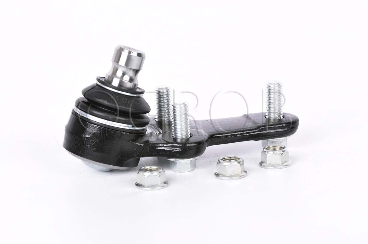 Rotula Inf. Focus 03-11