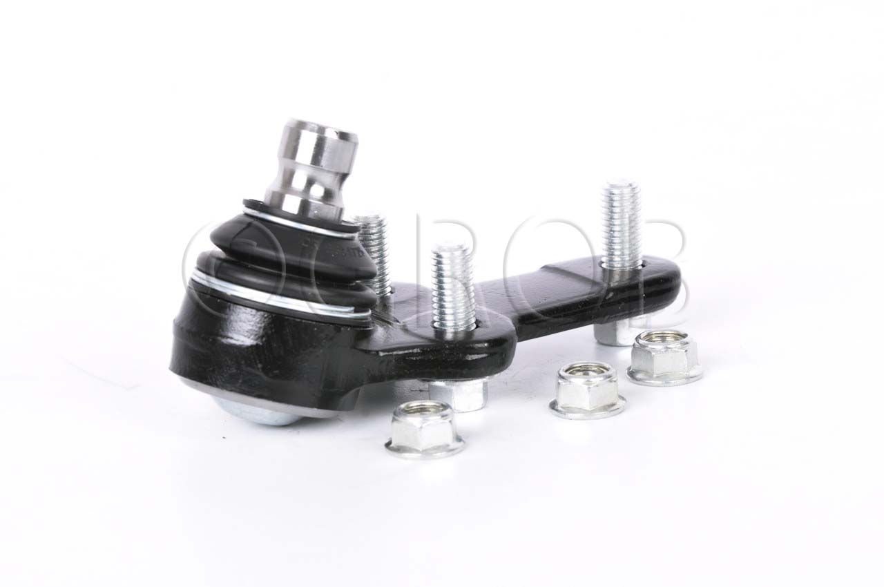 Rotula Inf. Focus 03-11