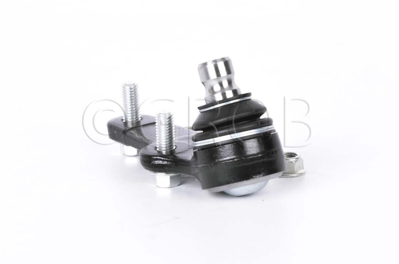 Rotula Inf. Focus 03-11