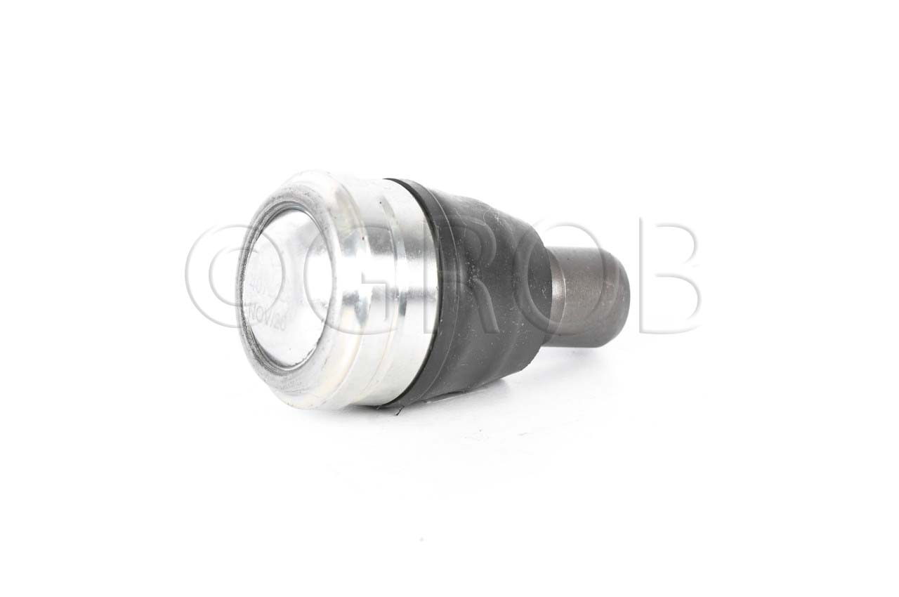 Rotula Inf. Figo 15-21