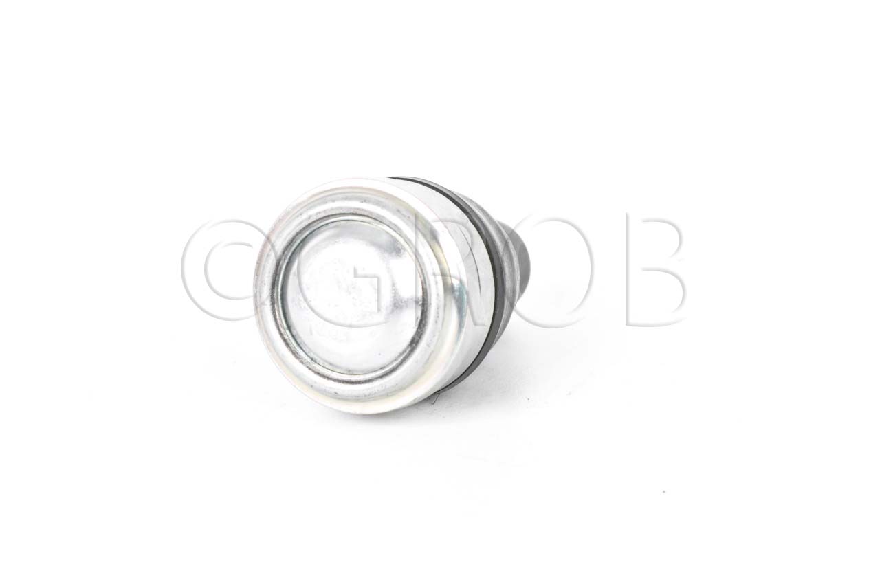 Rotula Inf. Figo 15-21