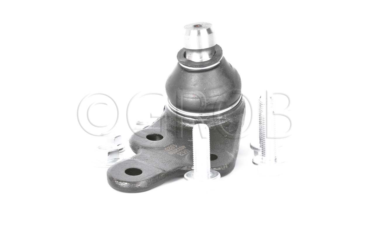 Rotula Inf. Der. Escape 13-19 Mariner 13-15 MKC 13-19