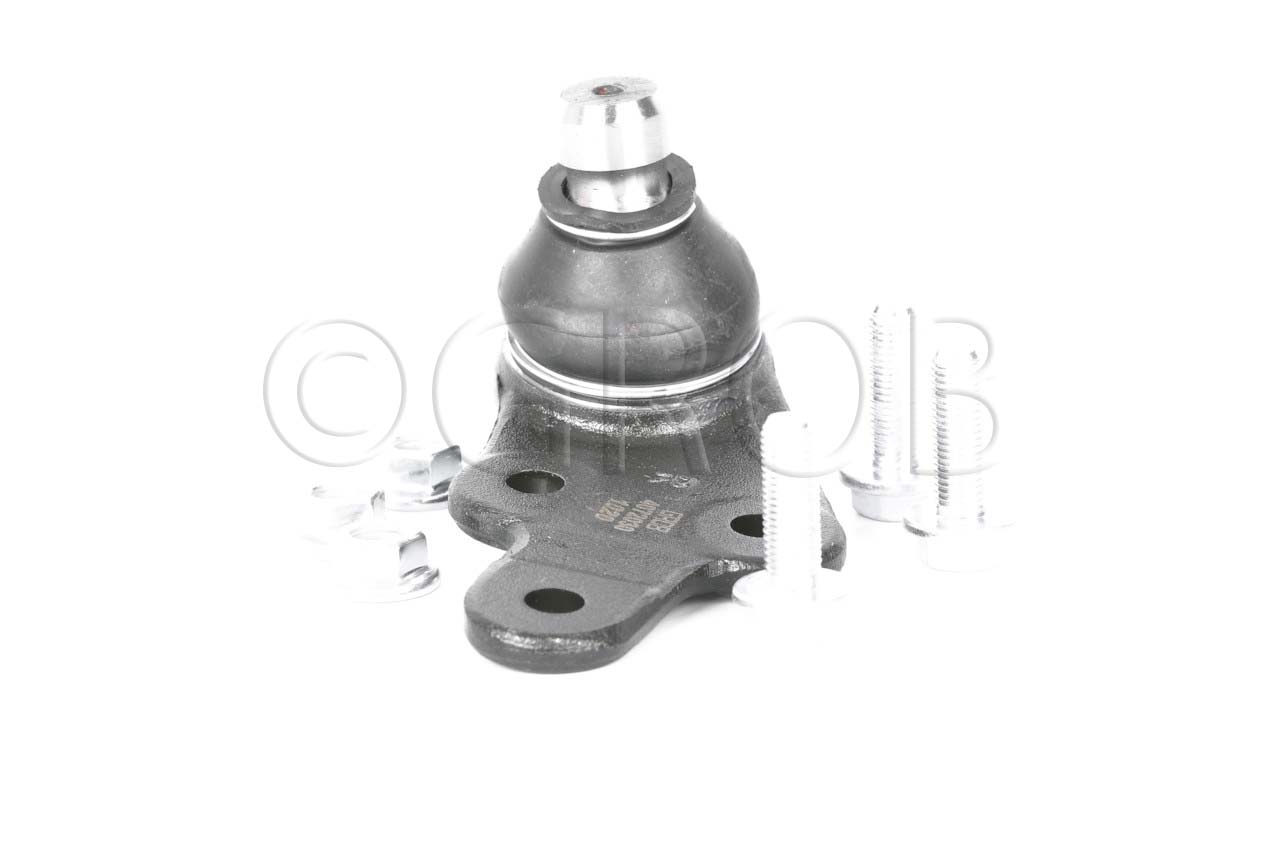 Rotula Inf. Der. Escape 13-19 Mariner 13-15 MKC 13-19