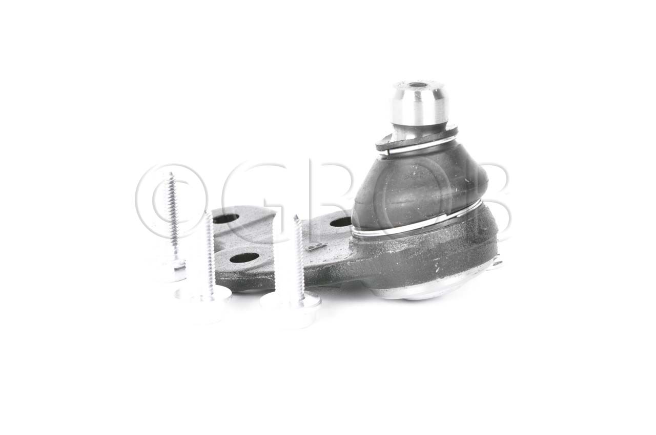 Rotula Inf. Der. Escape 13-19 Mariner 13-15 MKC 13-19