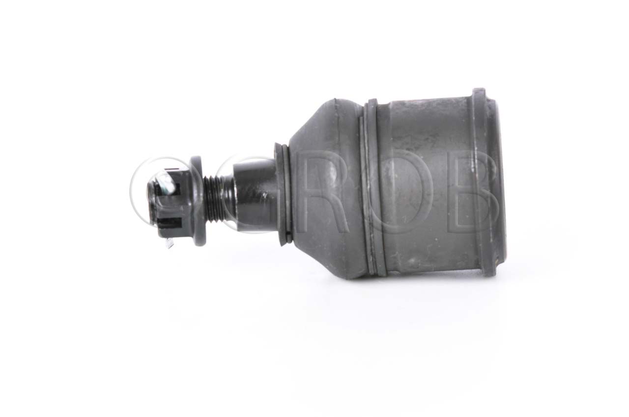 Rotula Inf. TSX 09-12 Accord 08-12