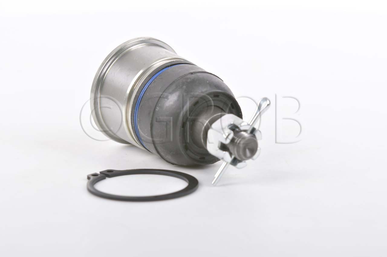 Rotula Inf. TL 04-08 TSX 04-08 Accord 03-07