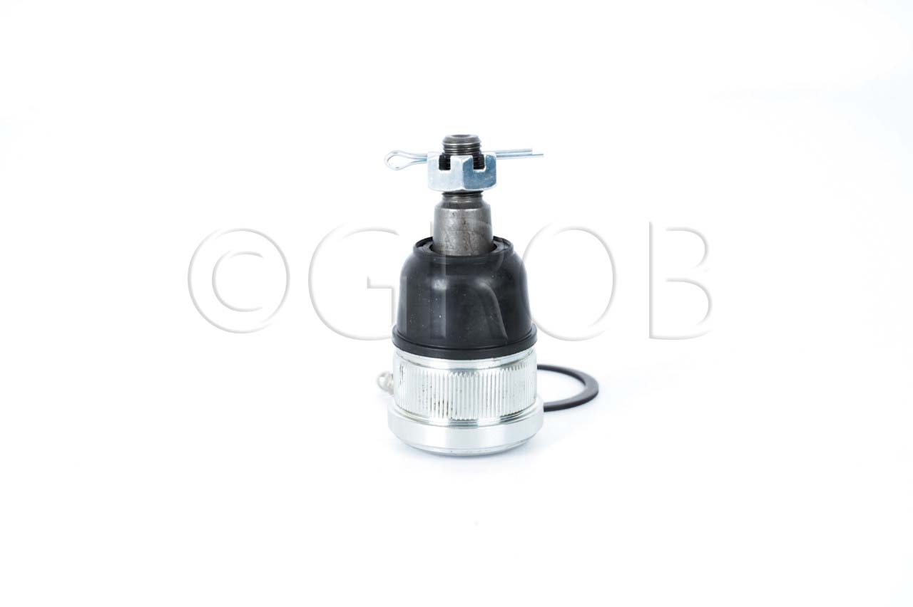 Rotula Inf. Element 03-11