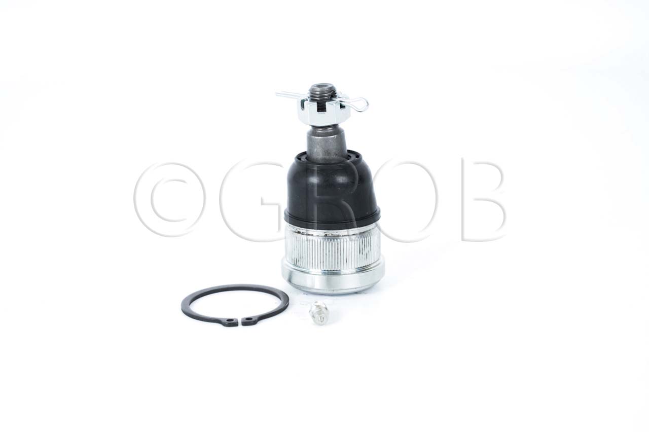 Rotula Inf. Element 03-11