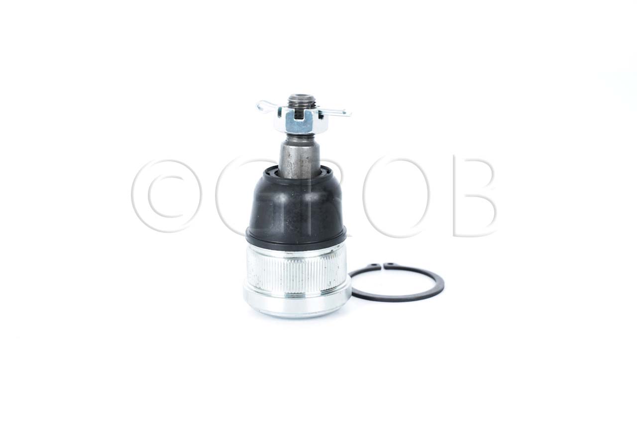 Rotula Inf. Element 03-11