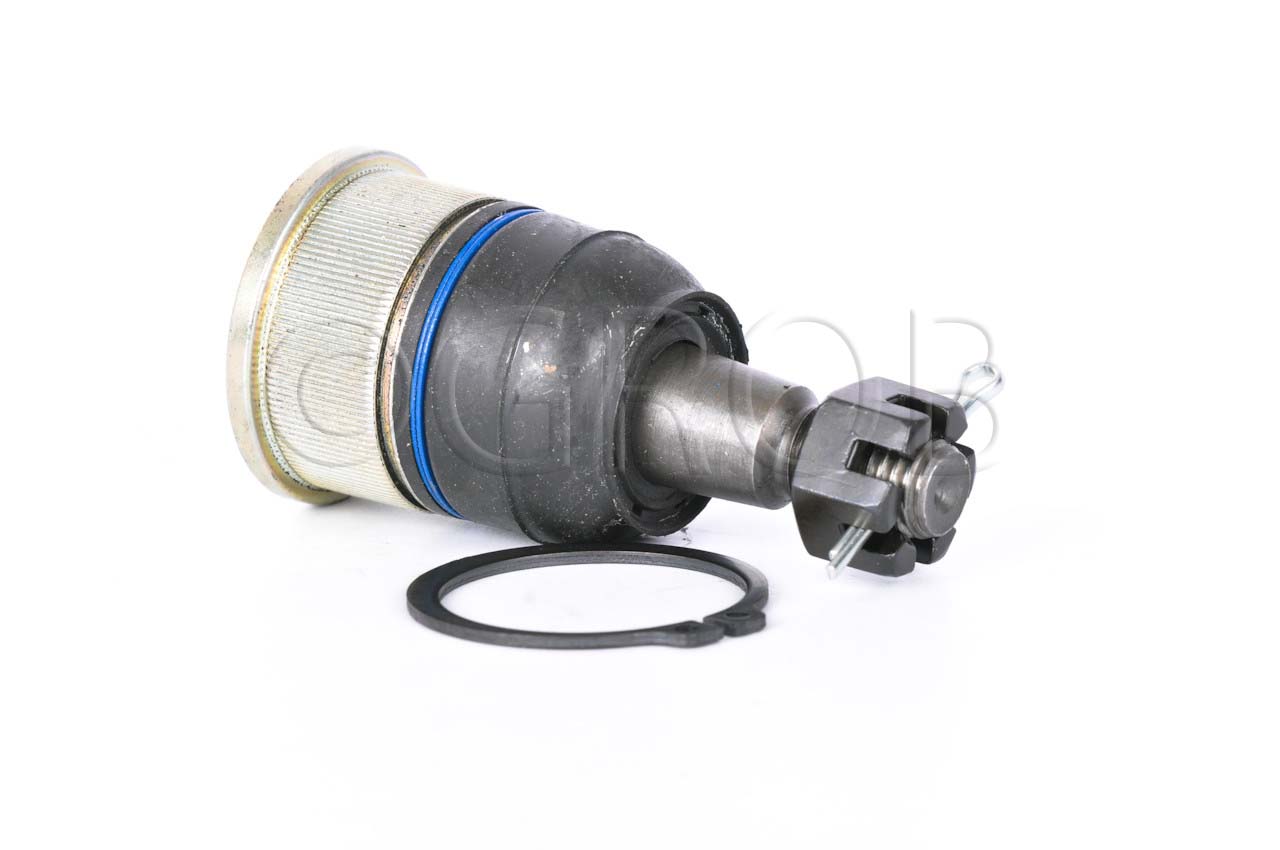 Rotula Inf. Ridgeline 06-14