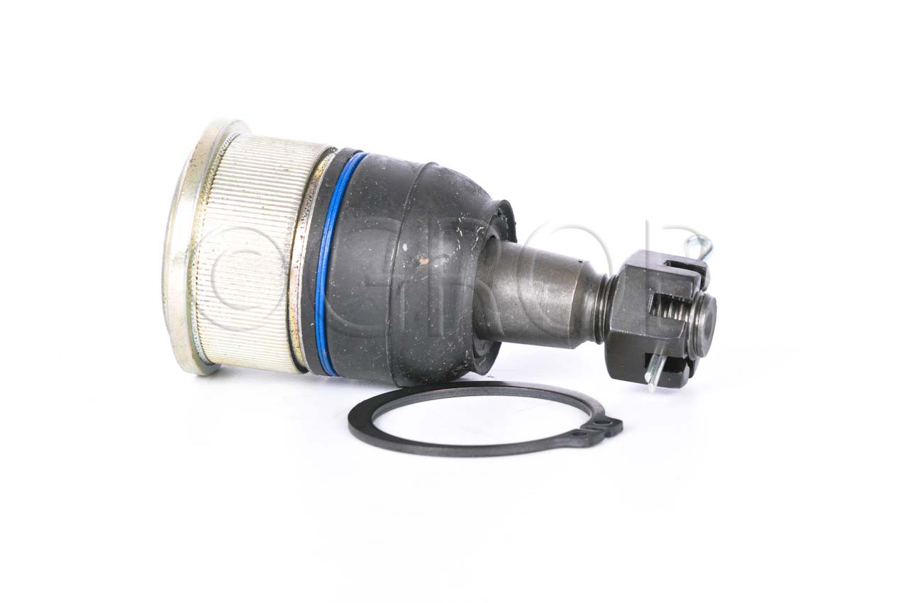 Rotula Inf. Ridgeline 06-14