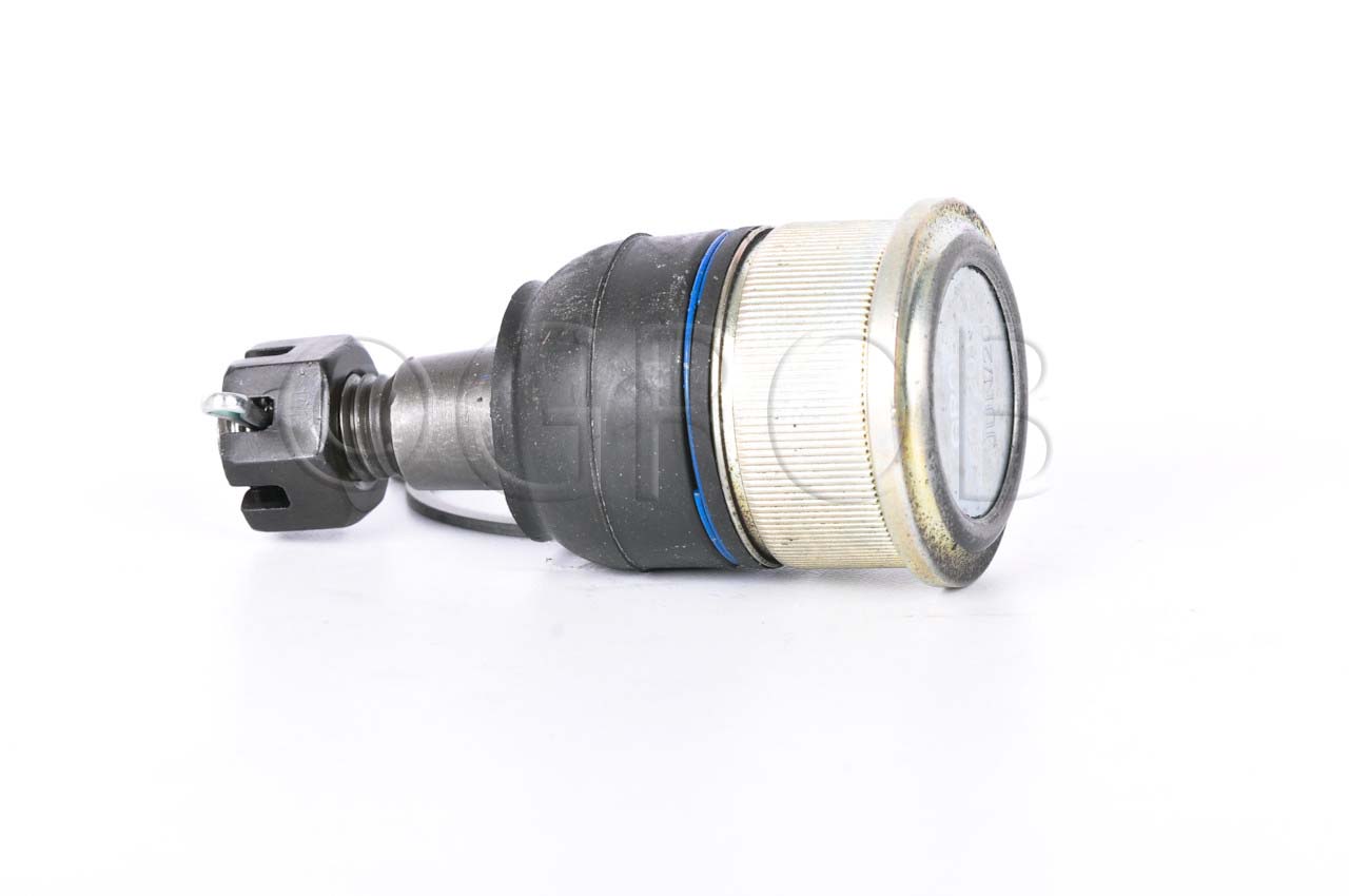 Rotula Inf. Ridgeline 06-14