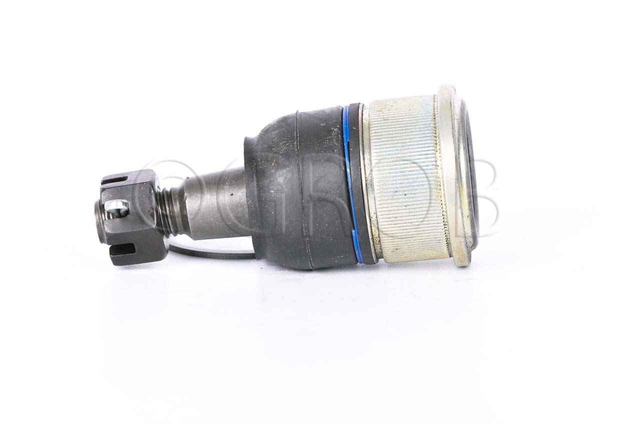 Rotula Inf. Ridgeline 06-14