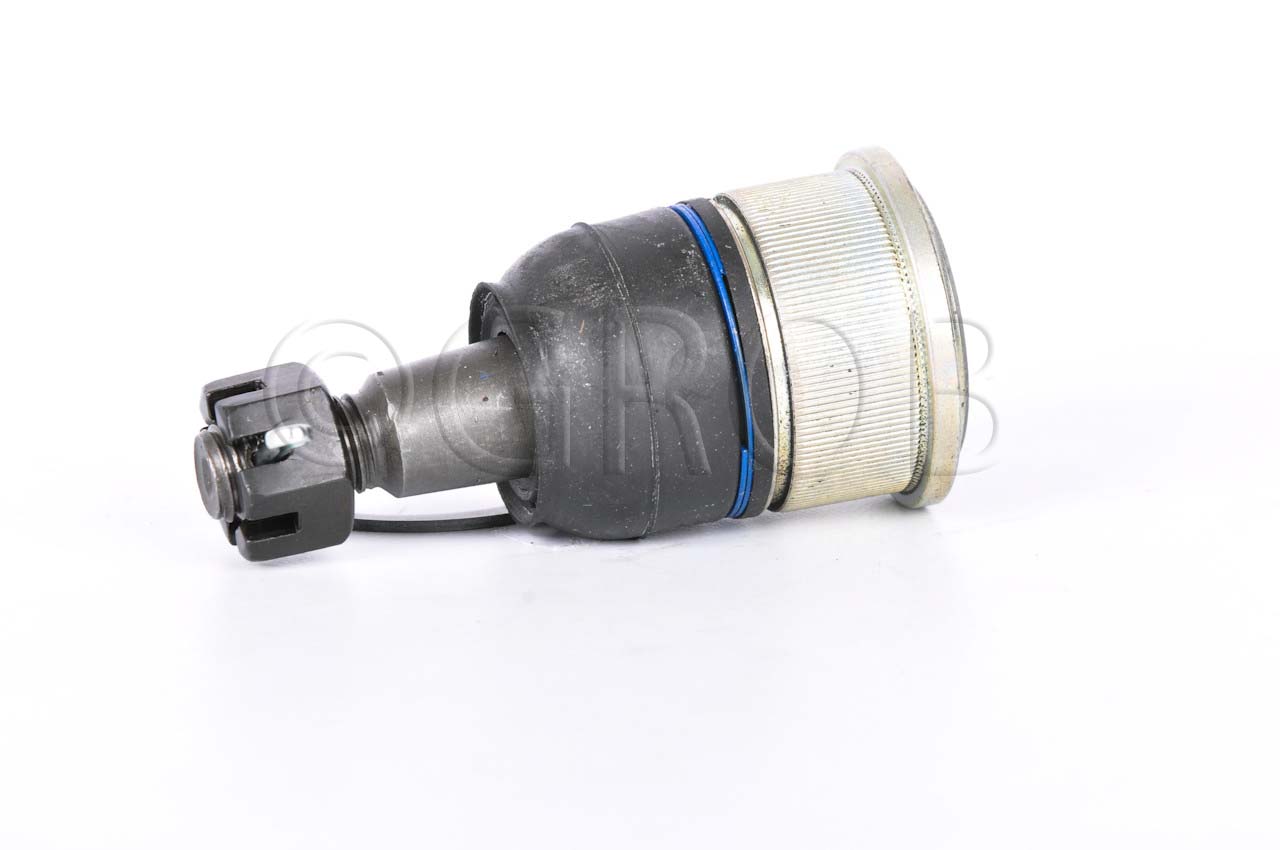 Rotula Inf. Ridgeline 06-14