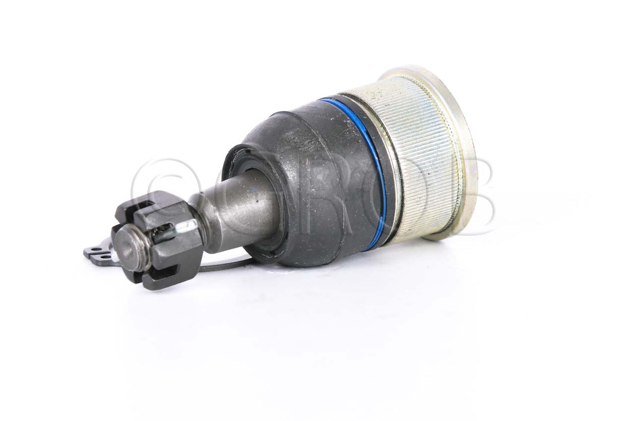 Rotula Inf. Ridgeline 06-14