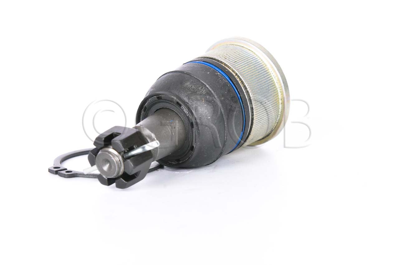 Rotula Inf. Ridgeline 06-14