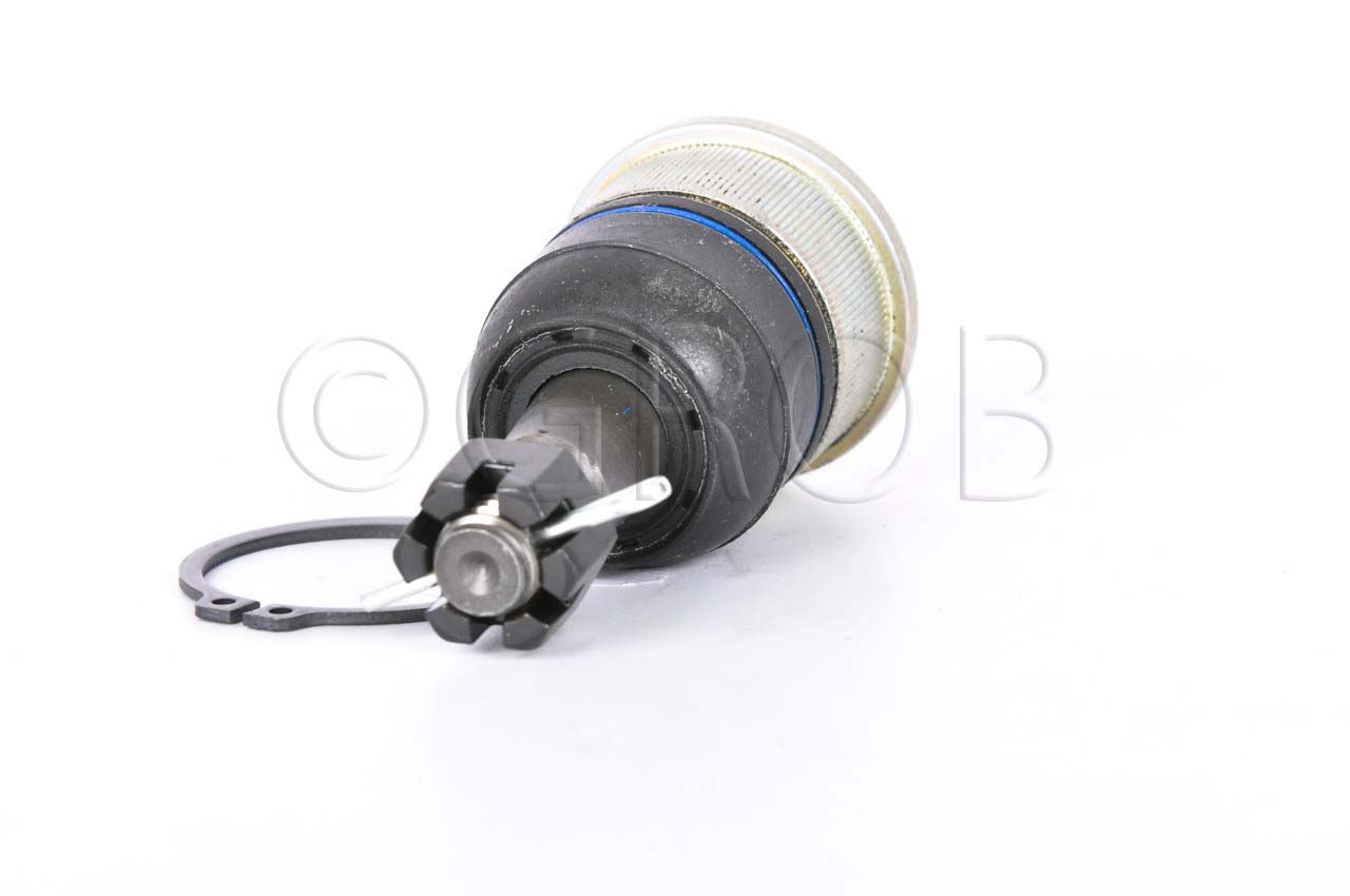 Rotula Inf. Ridgeline 06-14