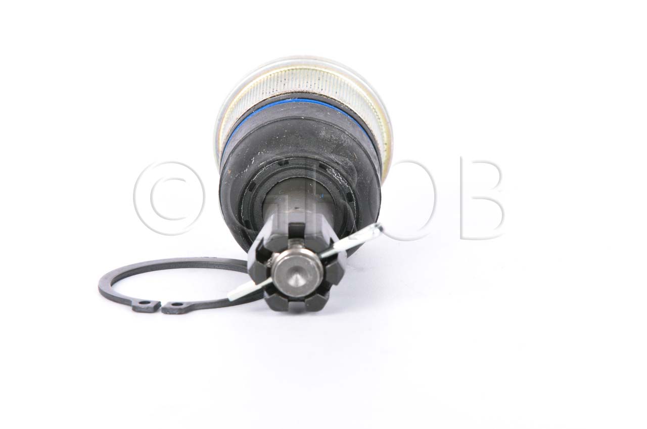 Rotula Inf. Ridgeline 06-14