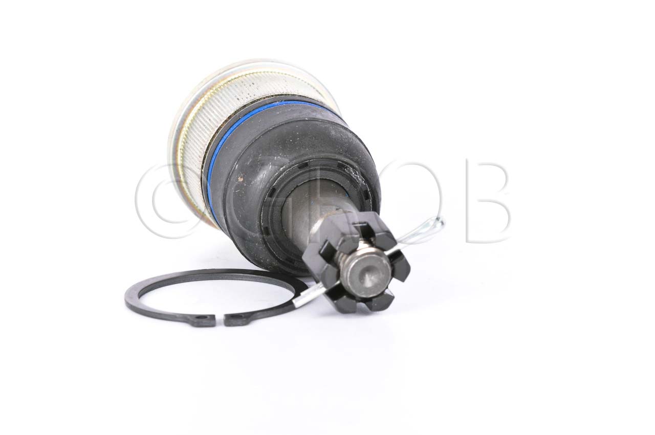 Rotula Inf. Ridgeline 06-14