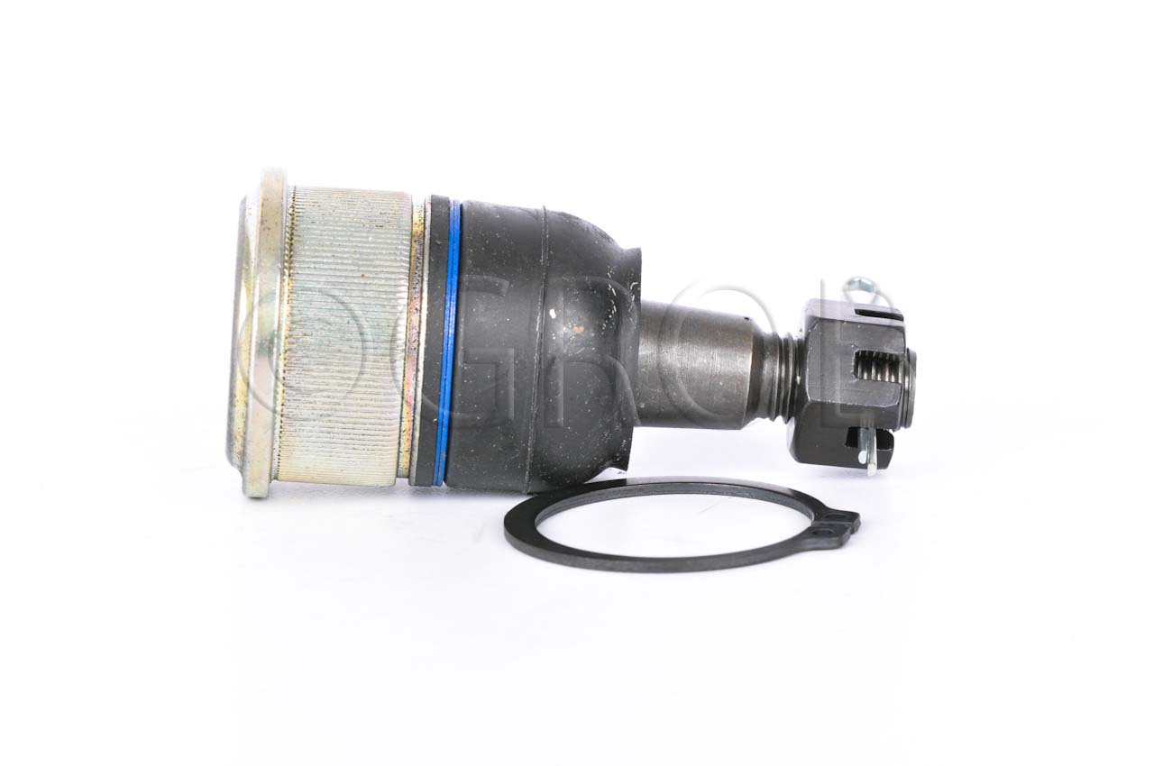 Rotula Inf. Ridgeline 06-14