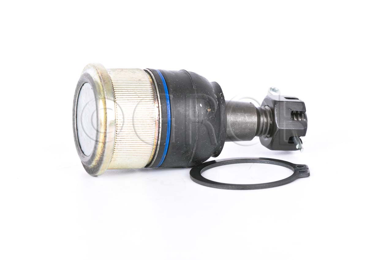 Rotula Inf. Ridgeline 06-14